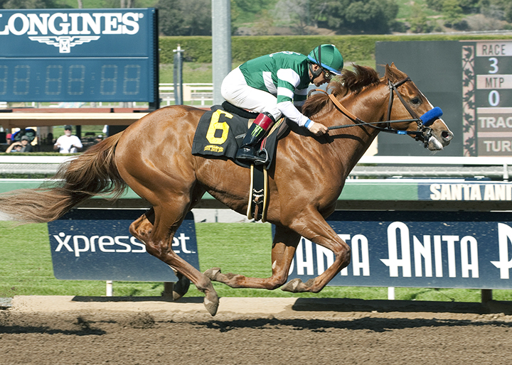 Curlin Rules wins a Feb. 21, 2016, maiden race at Santa Anita