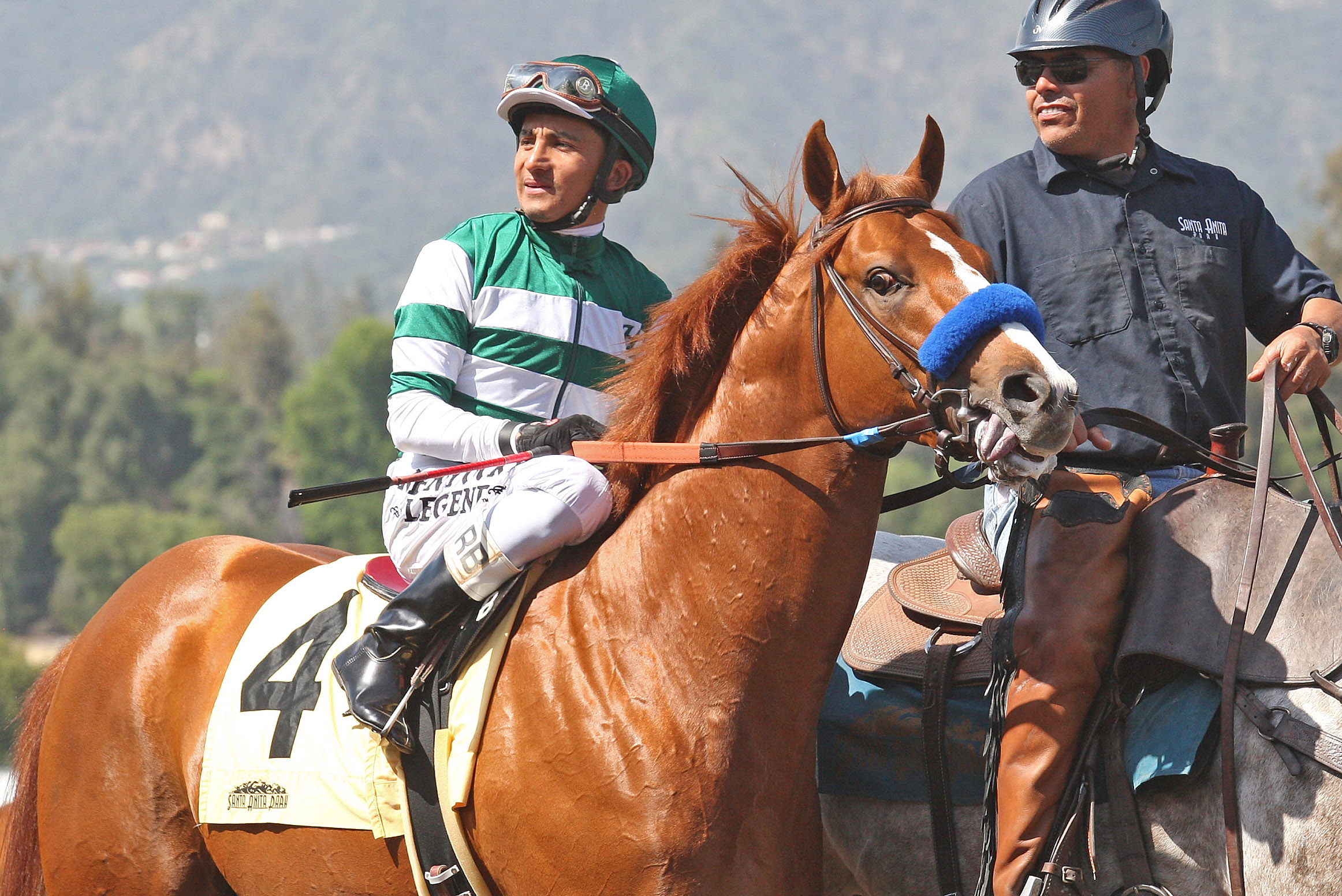 Curlin Rules at Santa Anita on March 27