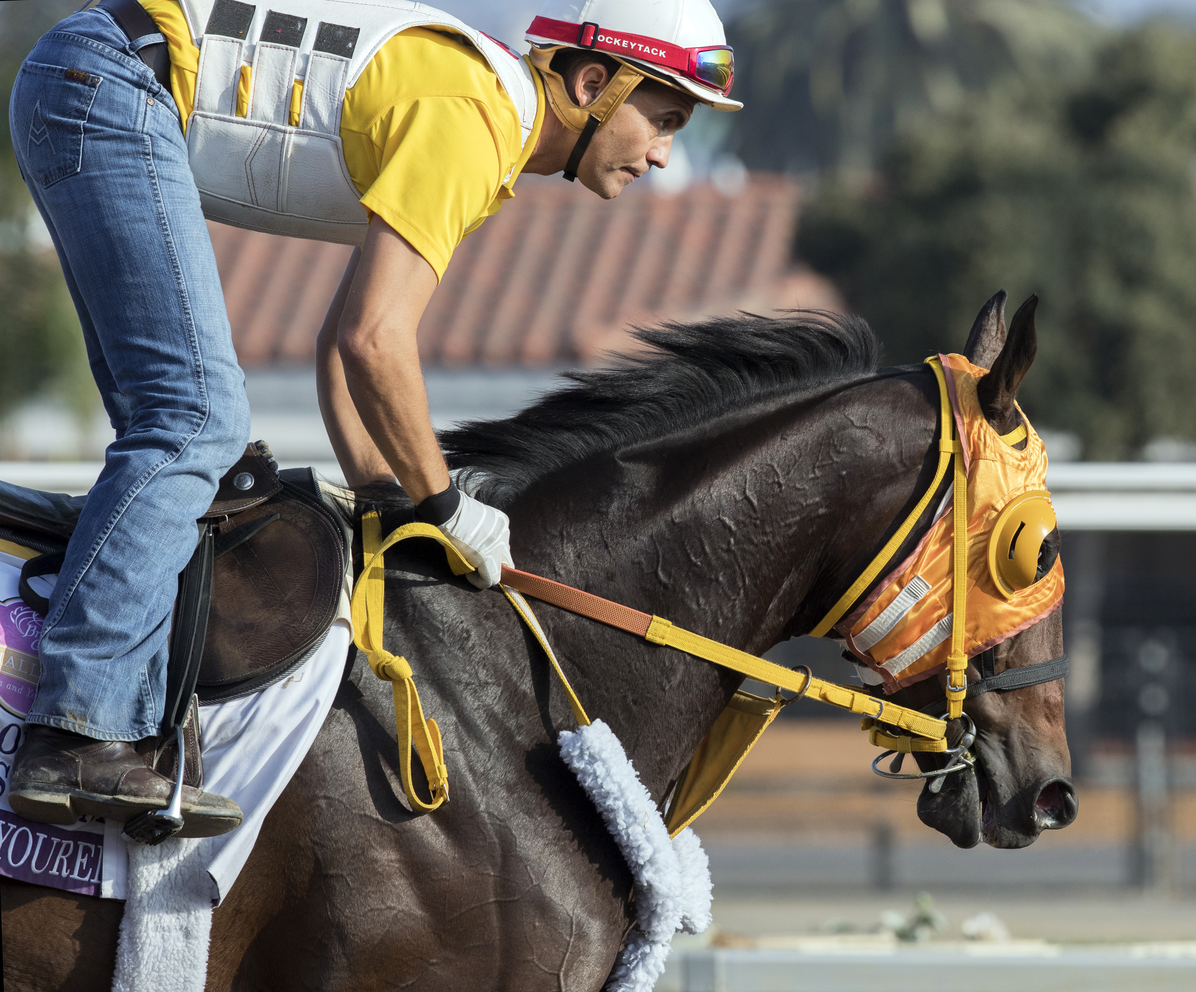 Curlin's Approval at Del Mar on Oct. 28