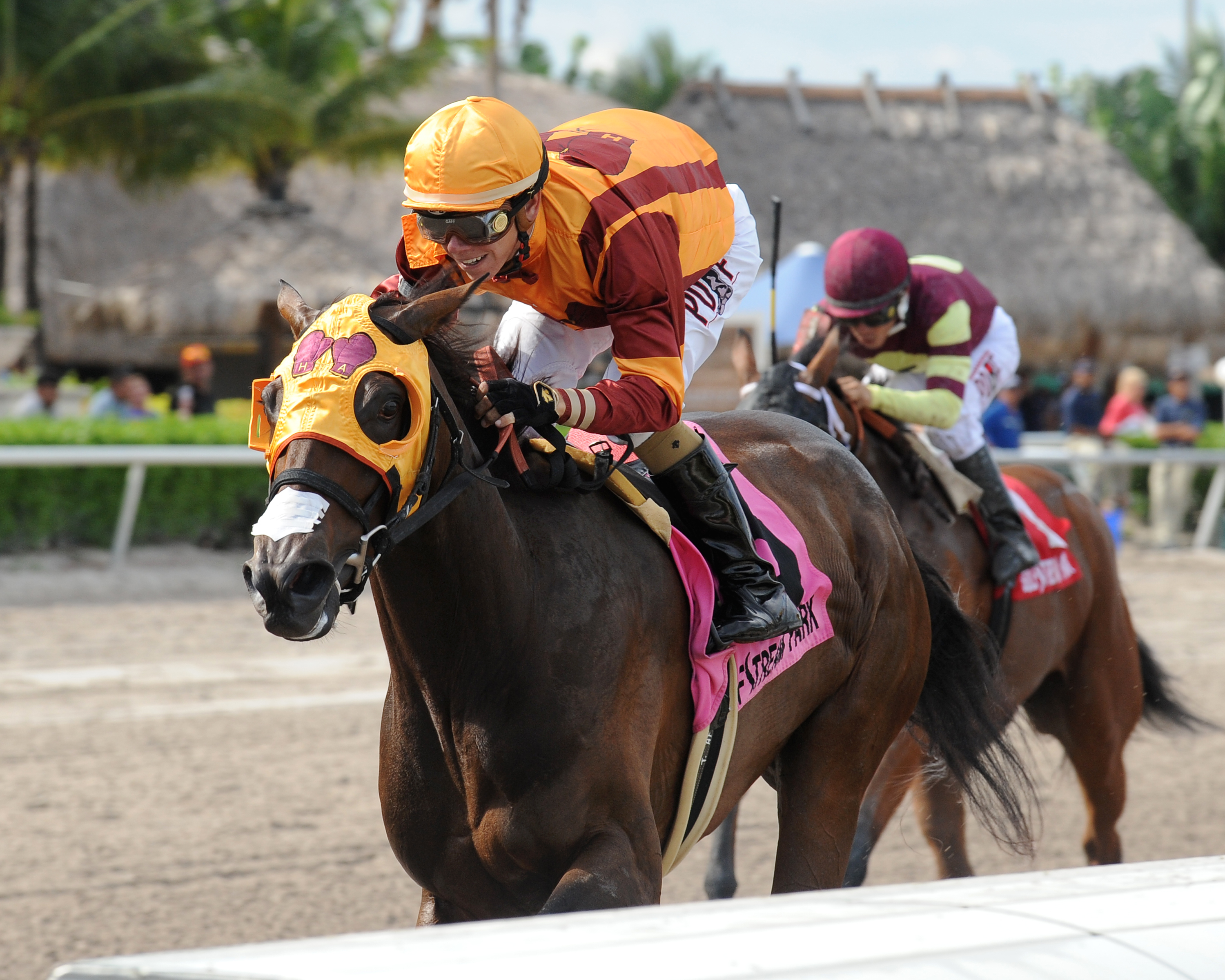 Curlin's Approval wins the Added Elegance Stakes