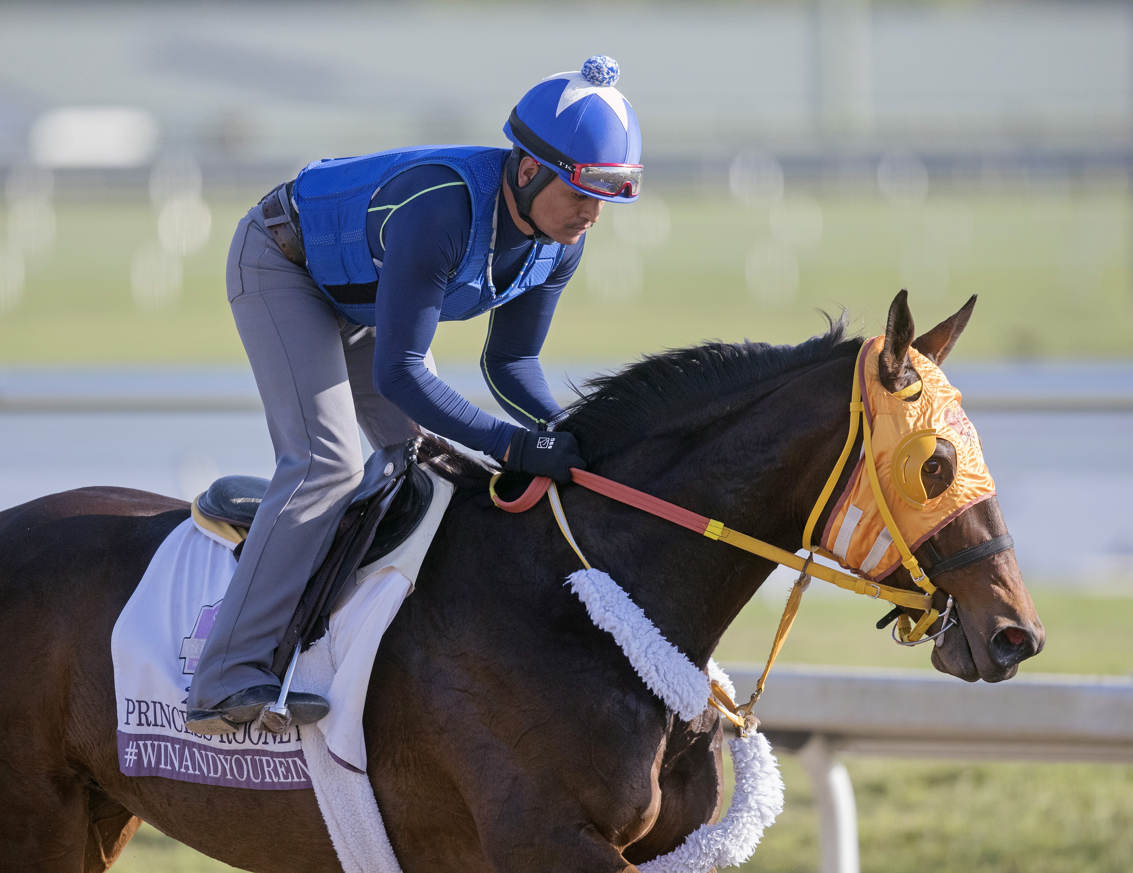 Curlin-s Approval trains on Jan. 13