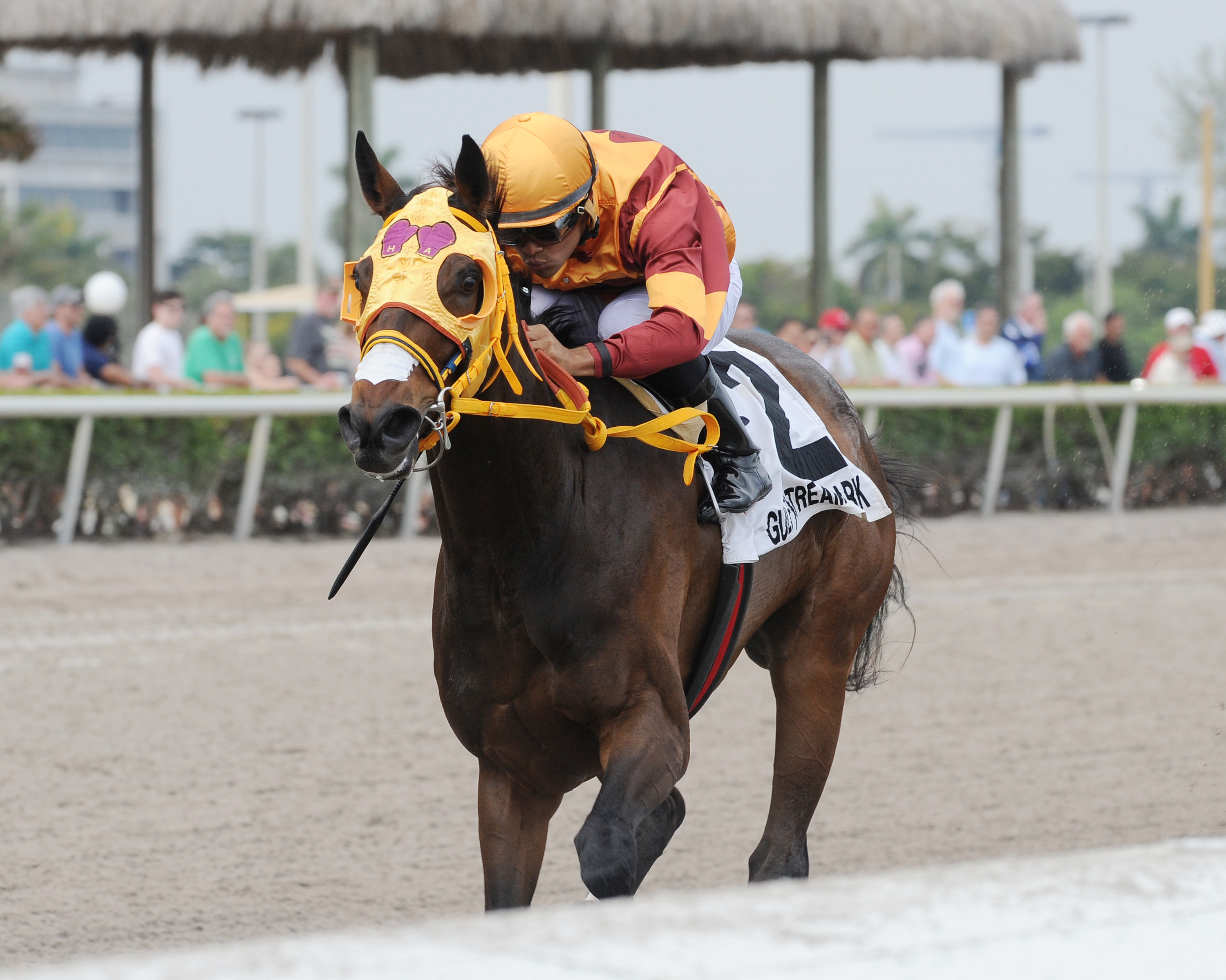 Curlin's Approval wins the Royal Delta