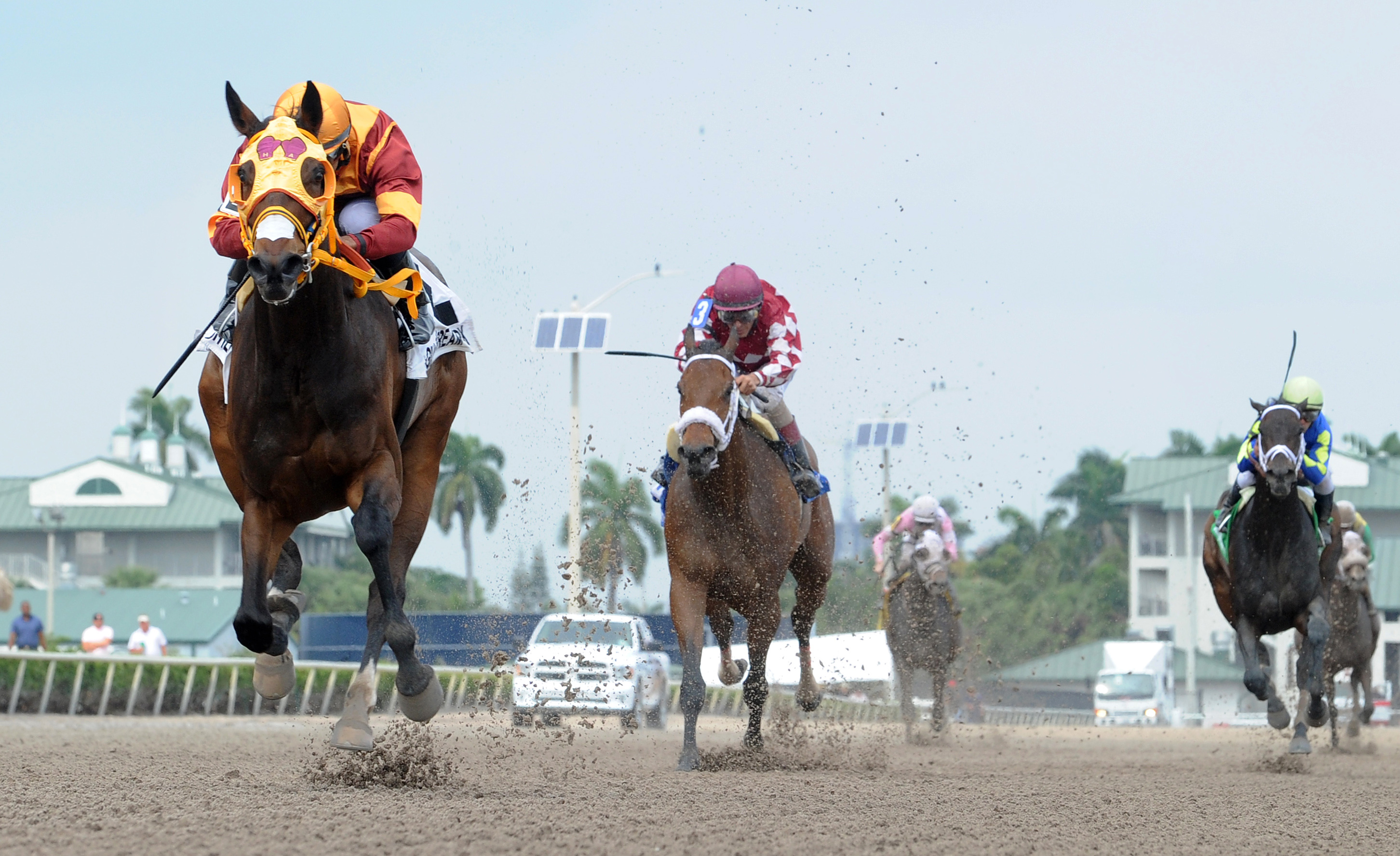 Curlin's Approval wins the Royal Delta