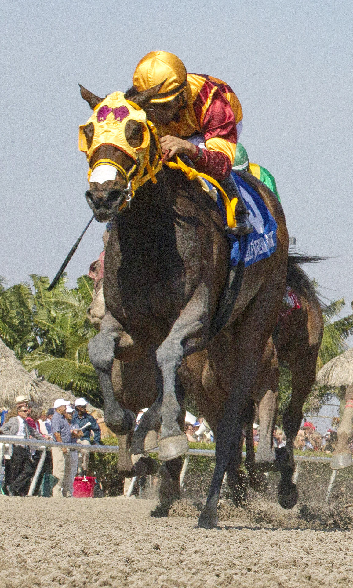 Curlin's Approval wins the Hurricane Bertie