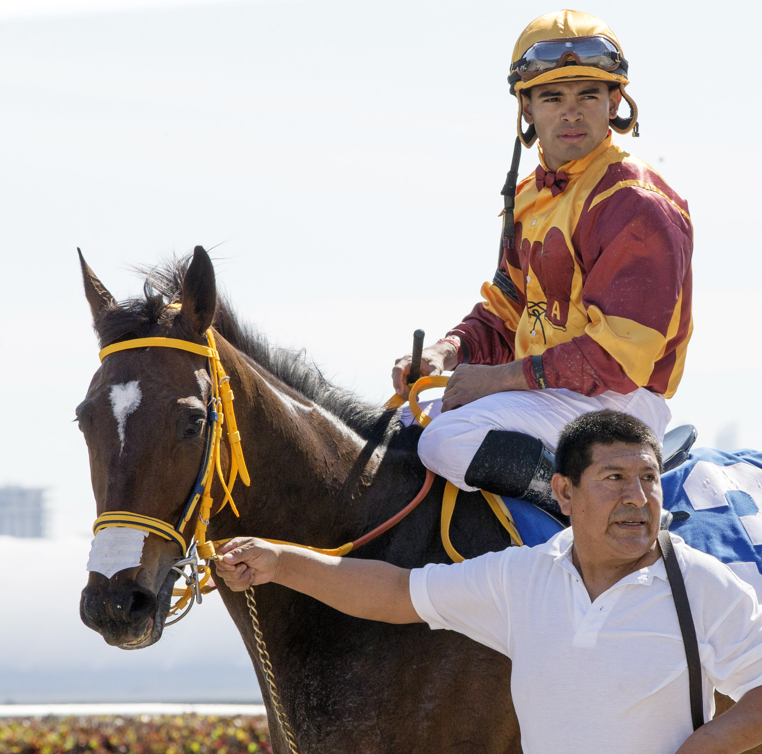 Curlin's Approval at the Royal Delta