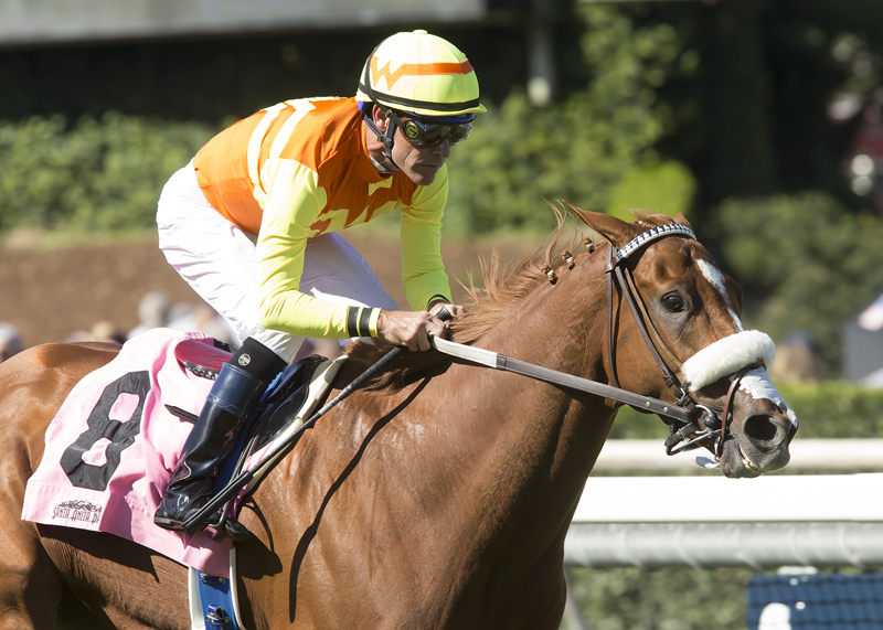 Curlin's Fox 10-8-2016