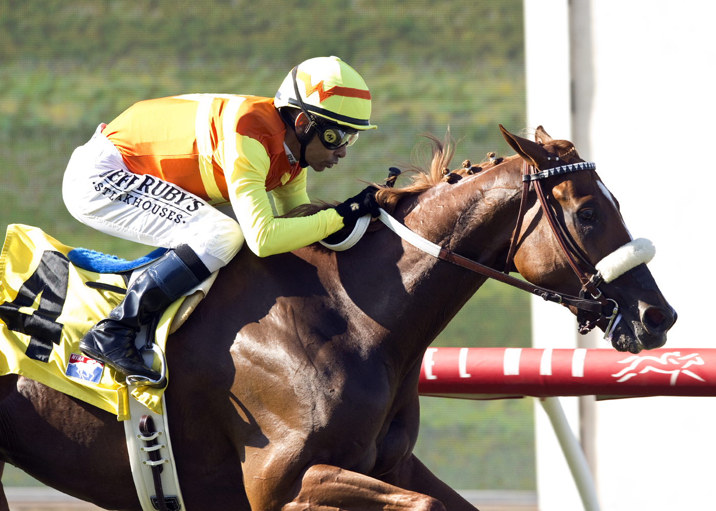 Curlin's Fox wins the Sandy Blue Handicap
