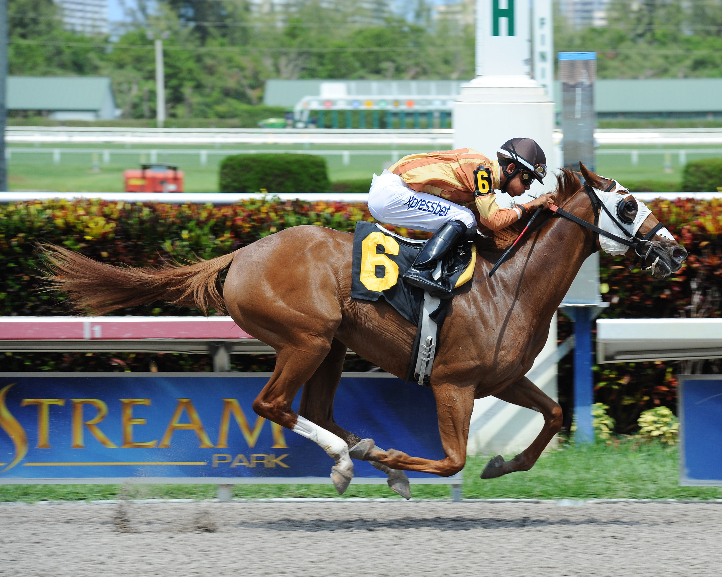 Curlin's Princess wins a maiden race