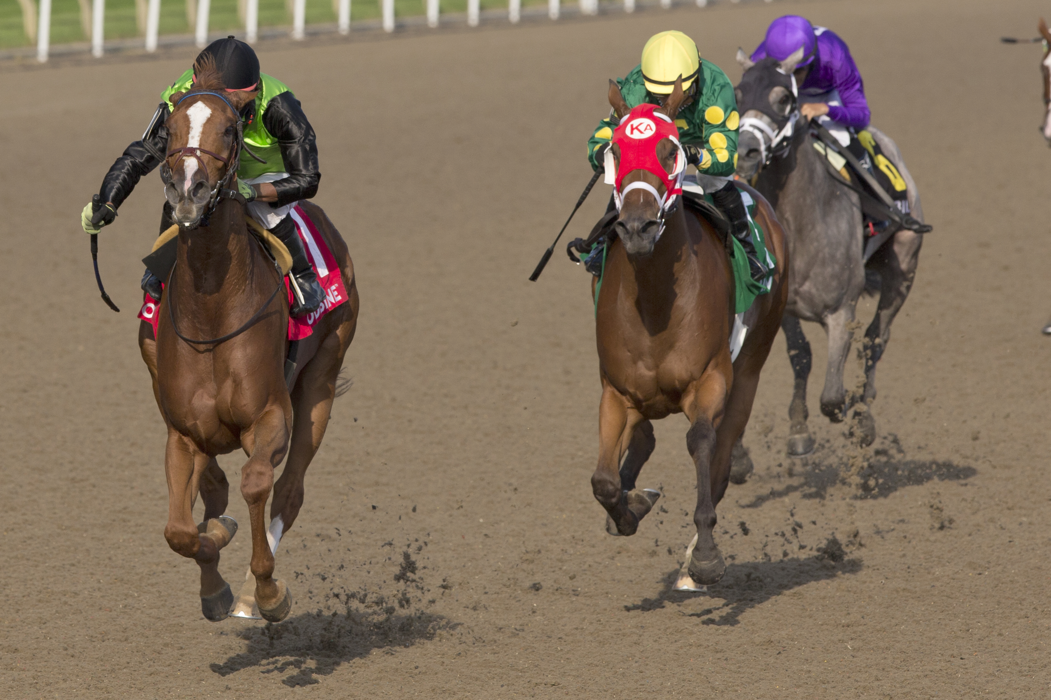 Curlin's Voyage, Woodbine Oaks