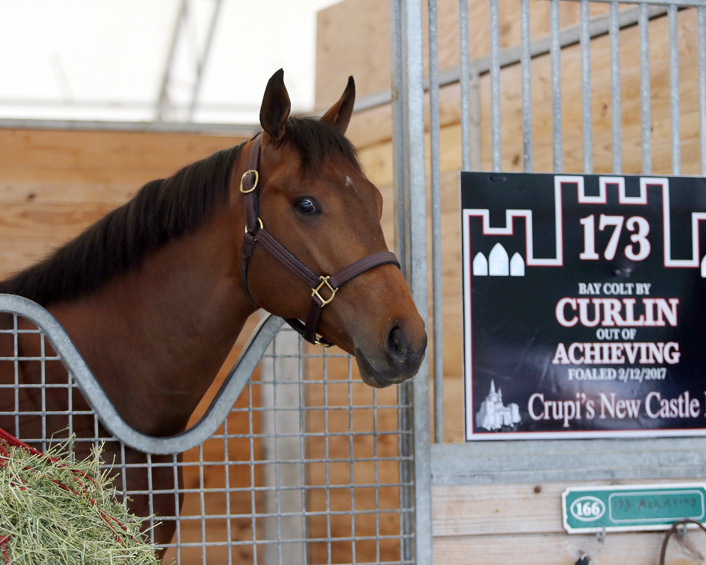 $3.65 million Curlin-Achieving 2-year-old at F-T Gulfstream sale