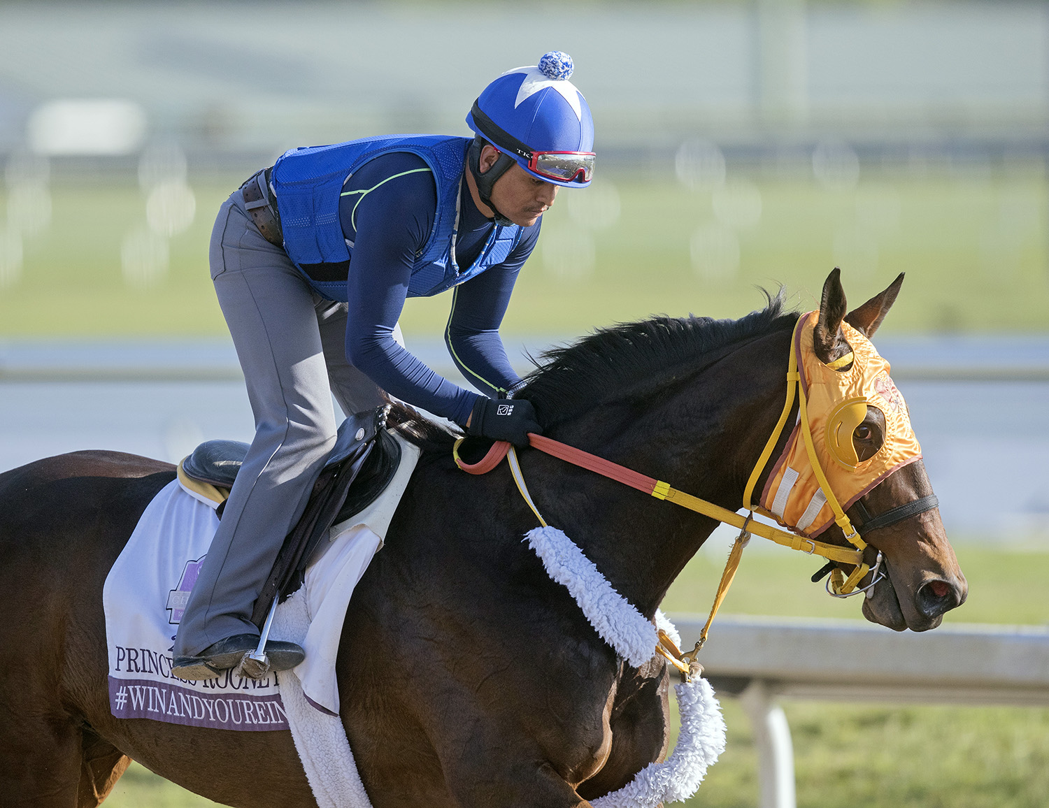Curlin-s Approval trains at Gulfstream on Jan. 13