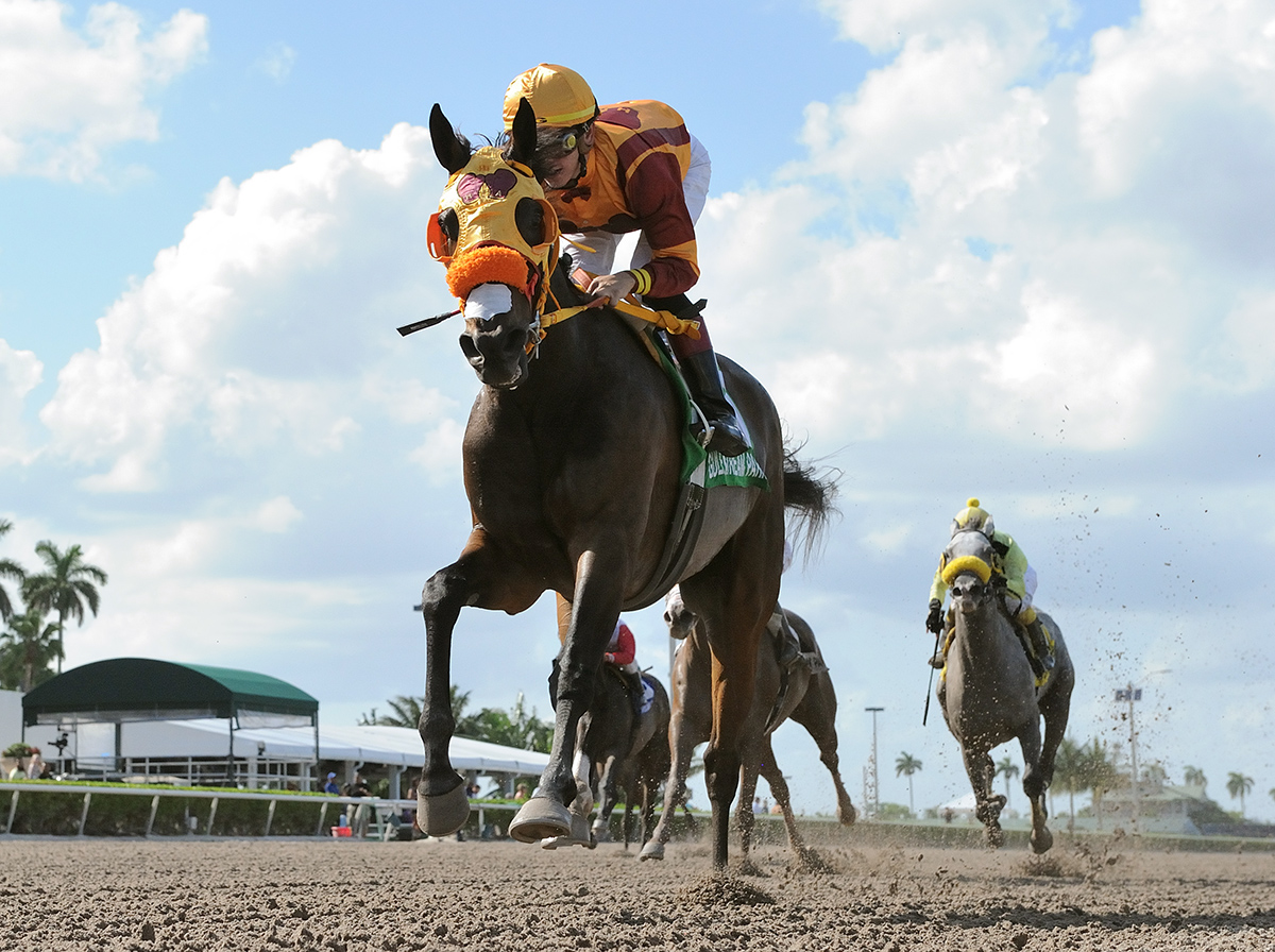 Curlin-s Approval wins the 2018 Ana T. Stakes