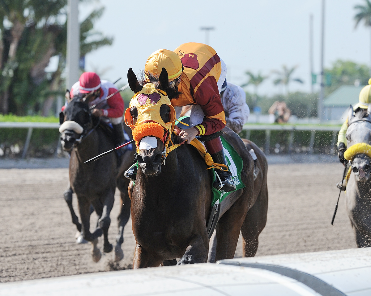 Curlin-s Approval wins the 2018 Ana T. Stakes