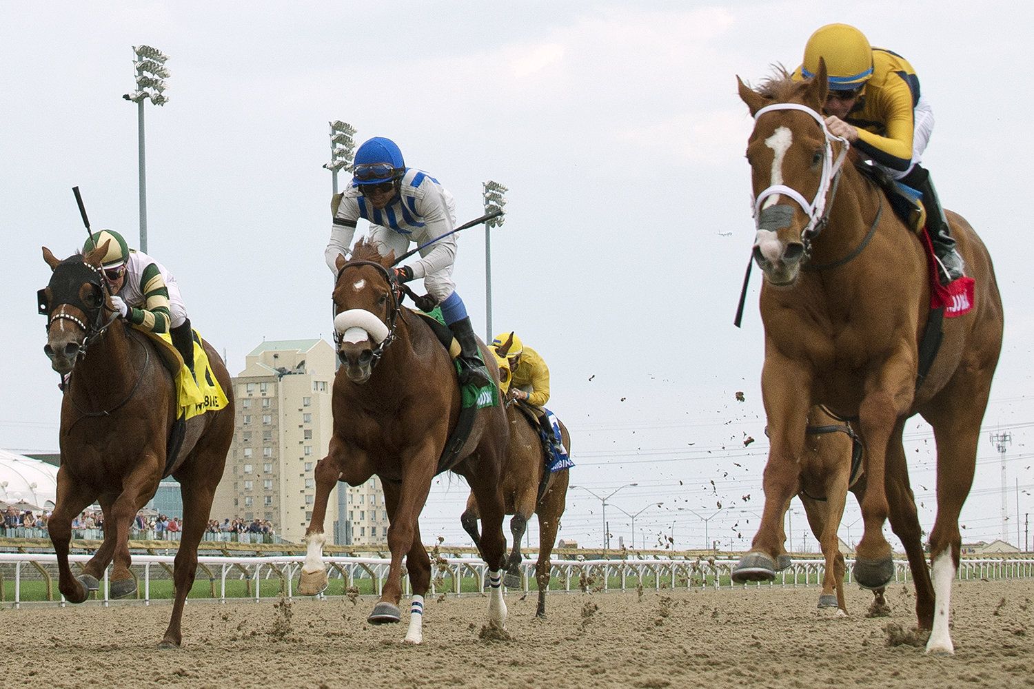 Curlin-s Honor wins the 2018 Woodstock Stakes