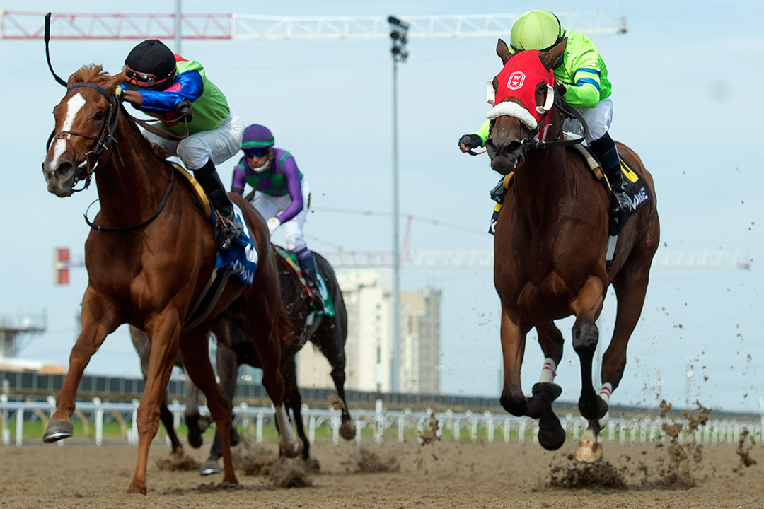 Justleaveitalone (right) finishes second in the Fury Stakes at Woodbine