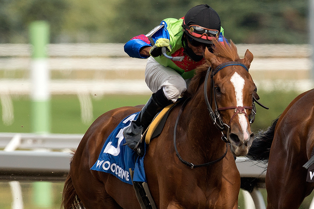Curlin's Voyage wins the 2020 Fury Stakes at Woodbine