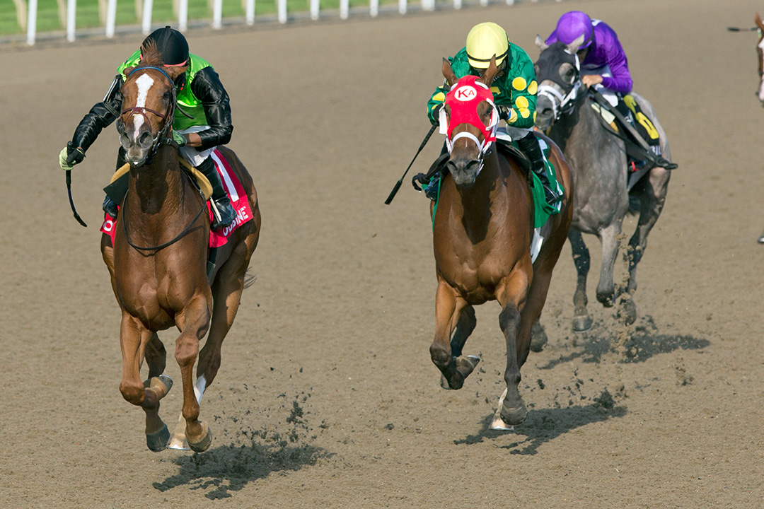 Curlin's Voyage (left) wins the 2020 Woodbine Oaks at Woodbine
