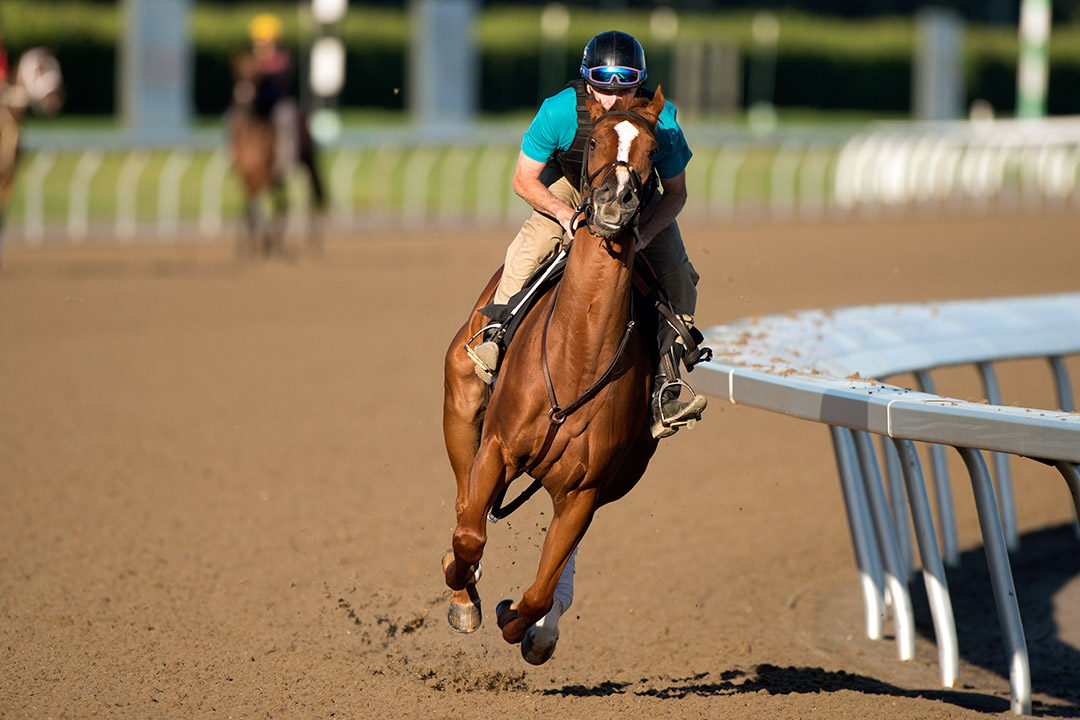 Curlin's Voyage trains at Woodbine on Sept. 9