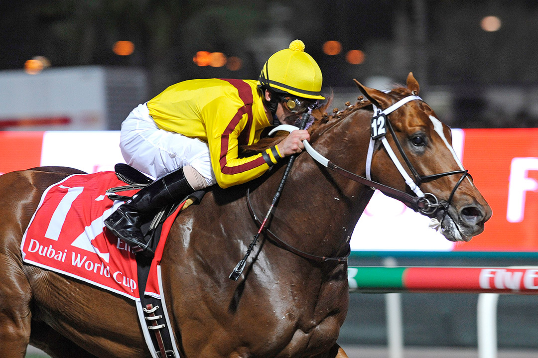 Curlin wins the 2008 Dubai World Cup at Meydan