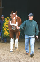 Curlin