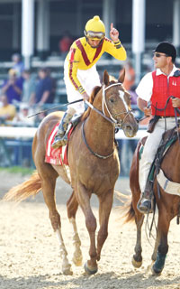 Curlin