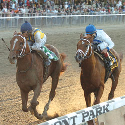 Curlin (left)