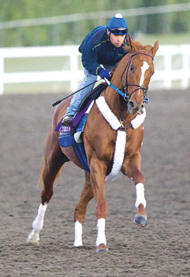 Curlin