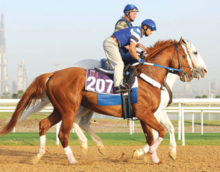 Curlin