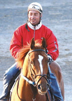 Curlin