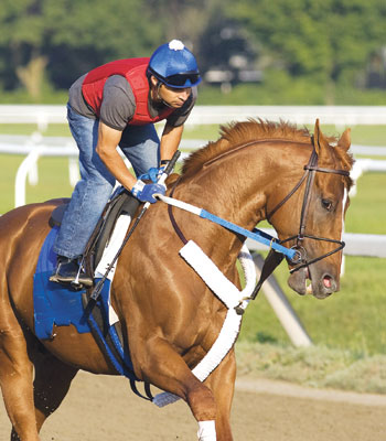 Curlin