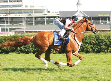 Curlin