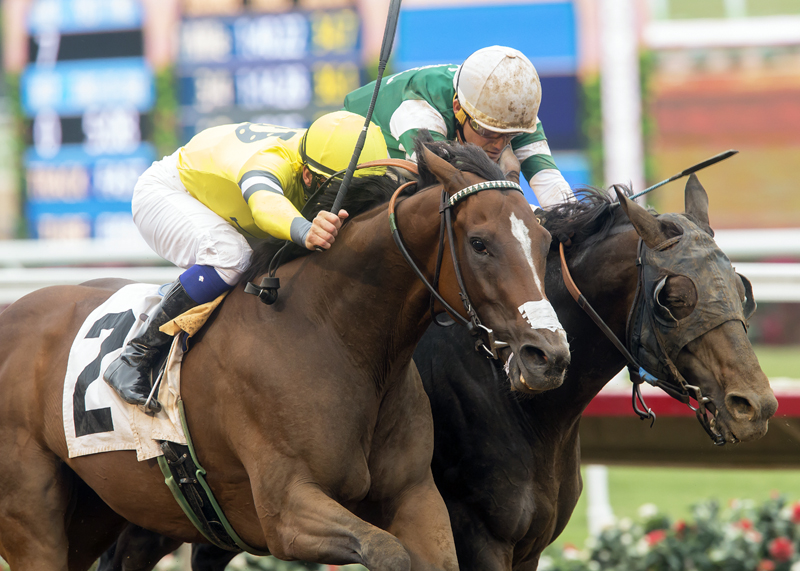 Curlin Road wins the Cougar II Handicap at Del Mar 7.26.17_BA