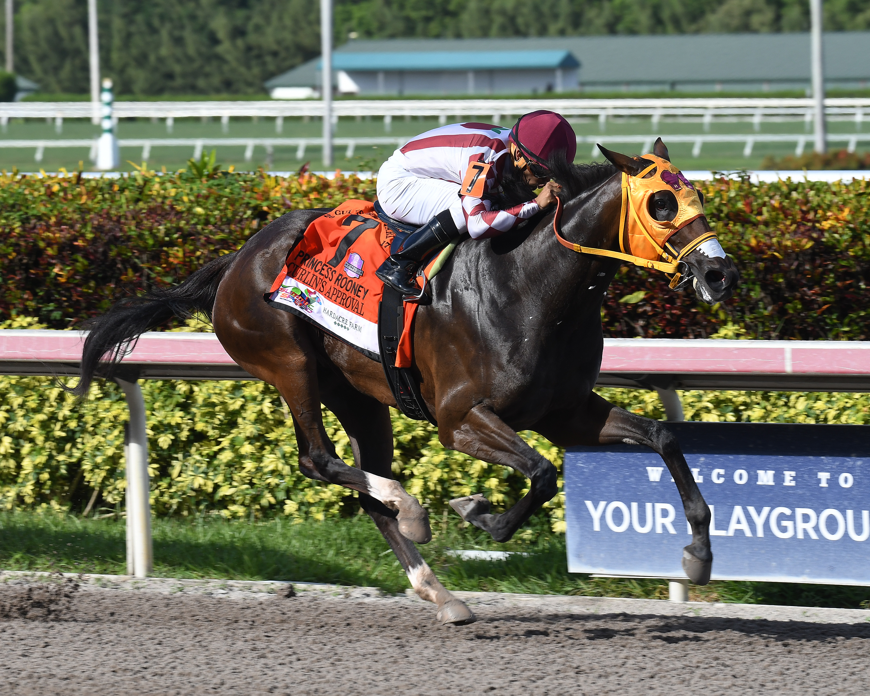 Curlin's Approval wins the 2017 Princess Rooney