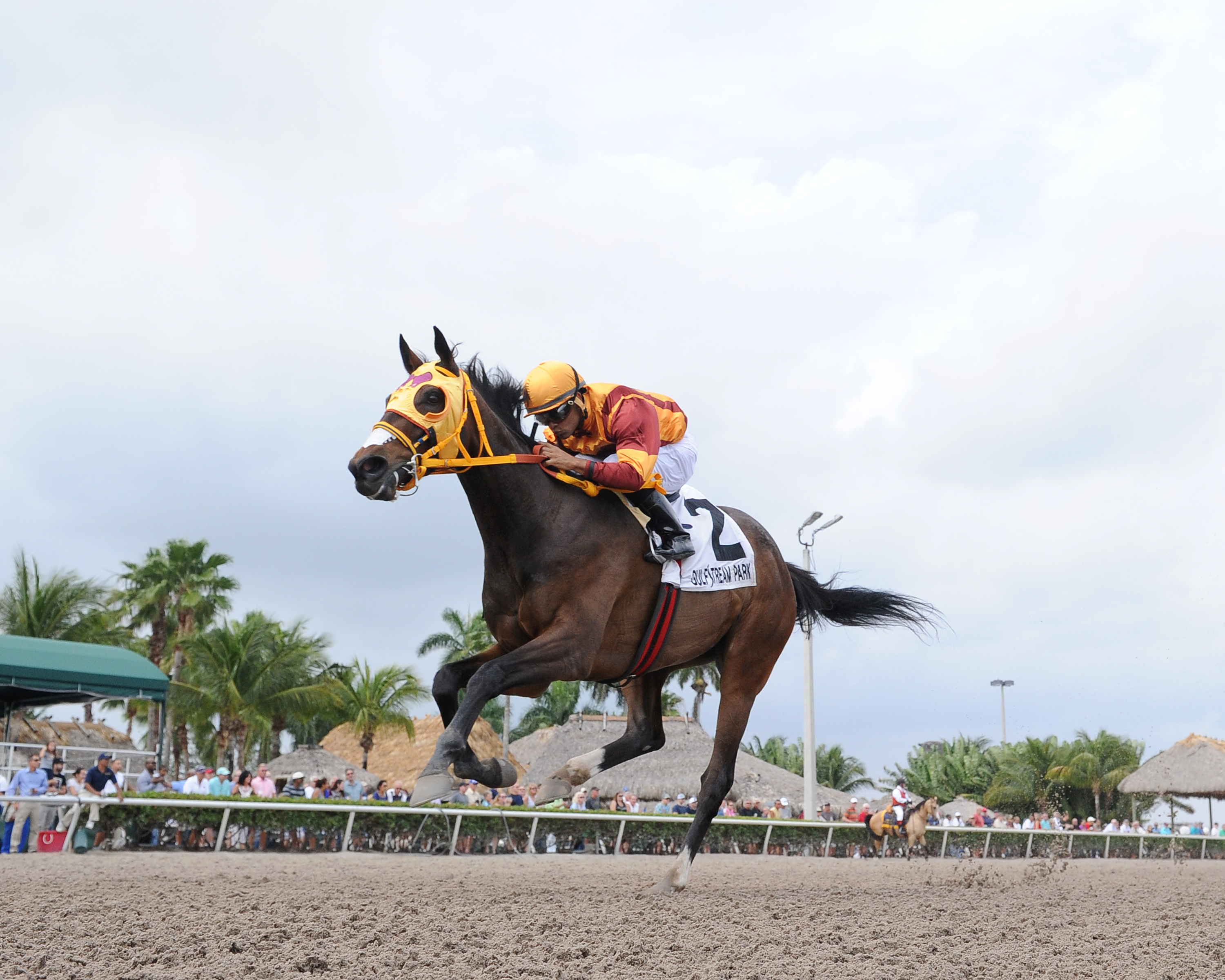 Curlin's Approval
