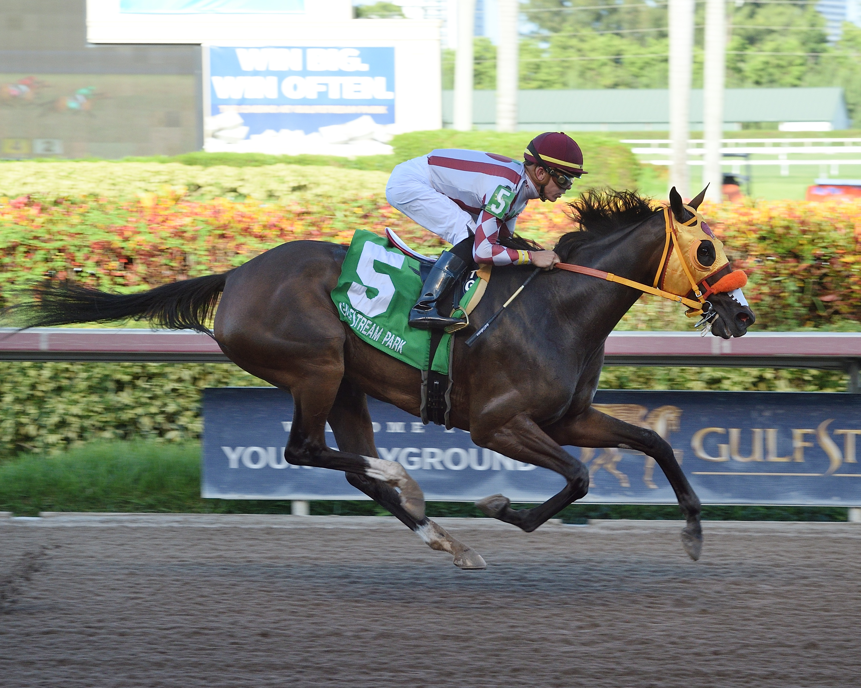 Curlin's Approval wins 2018 Sugarloaf Key Handicap
