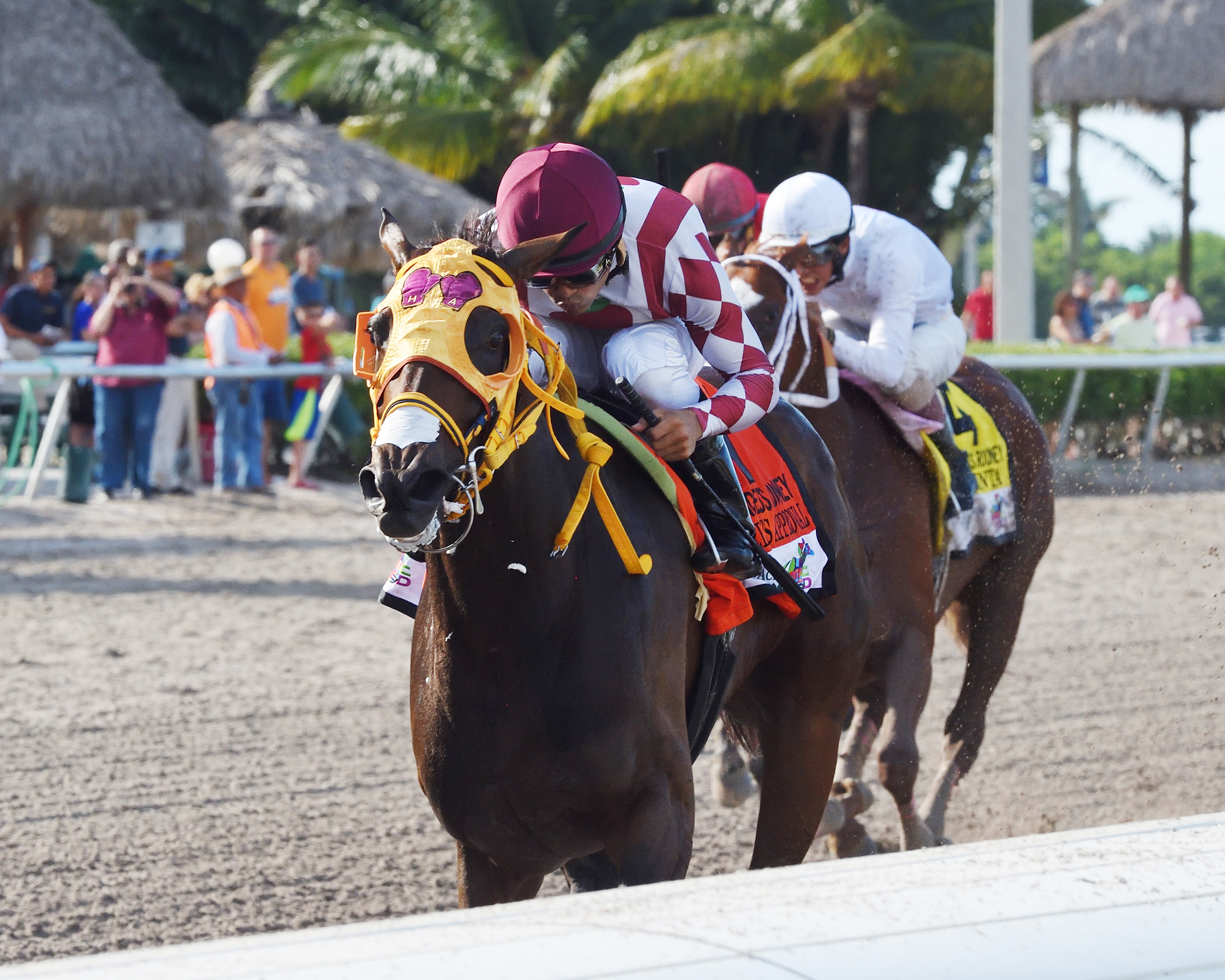 Curlins Approval wins the 2017 Princess Rooney