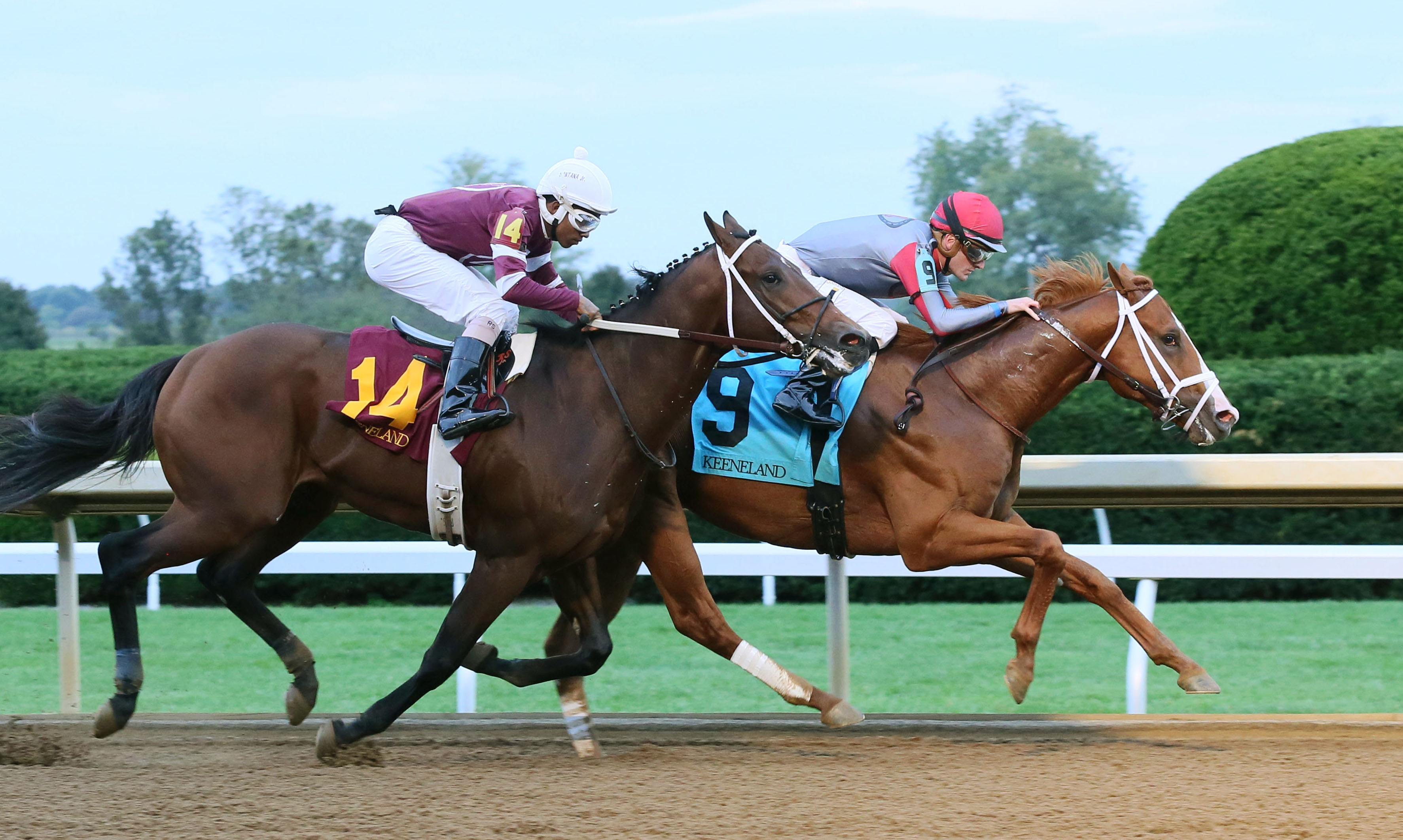 Curlins Honor wins a Oct. 7 maiden race
