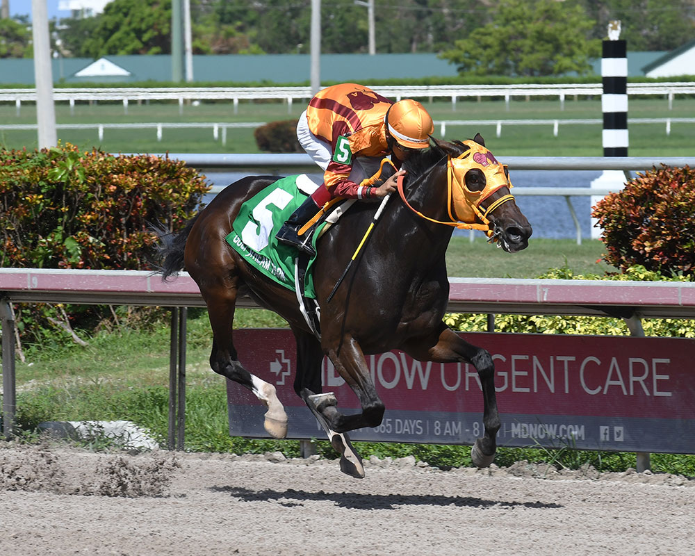 Curlin's Approval wins the 2017 Barely Even Handicap