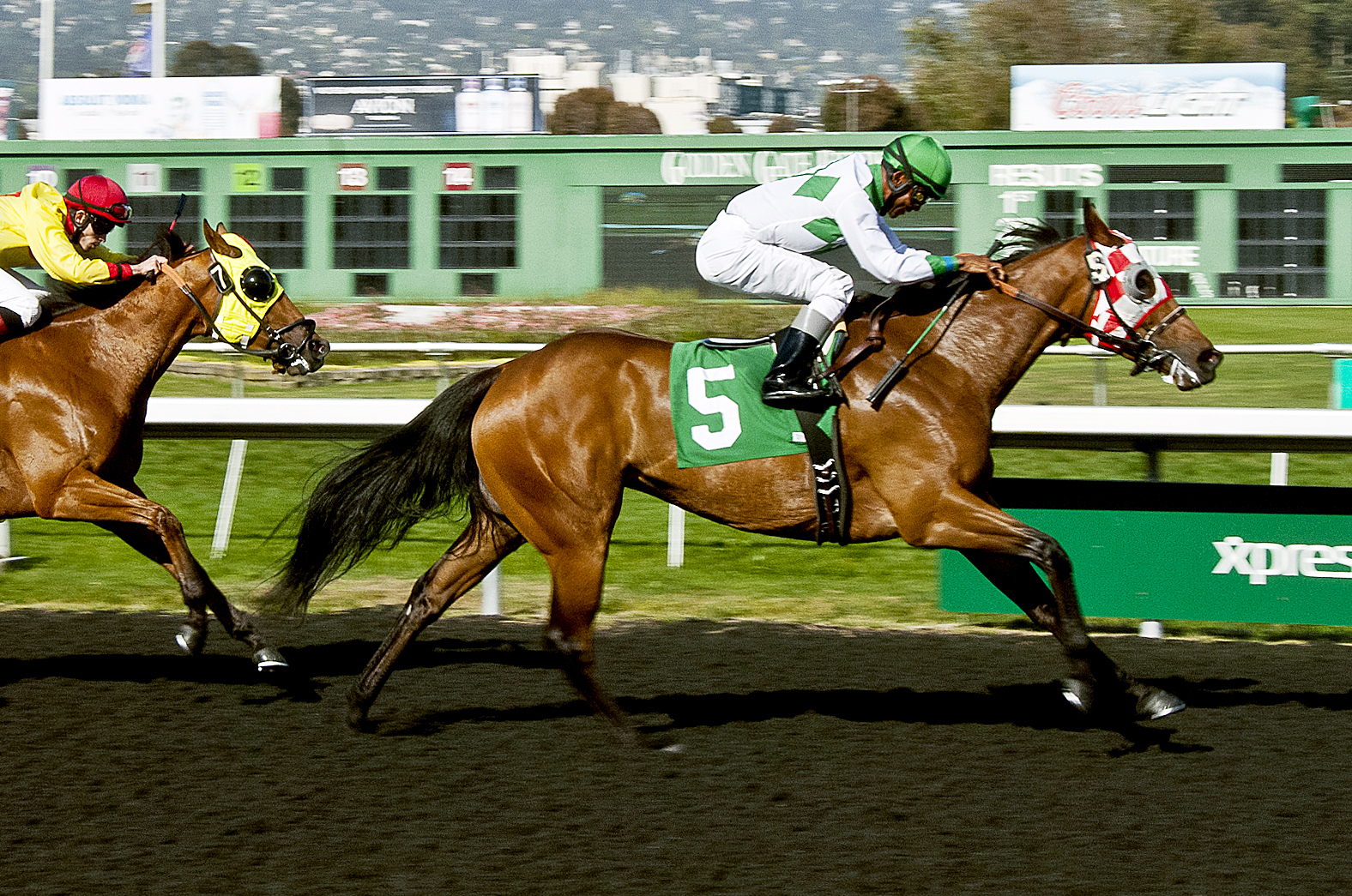 Frank Alvarado 3000th win aboard Curly Girly