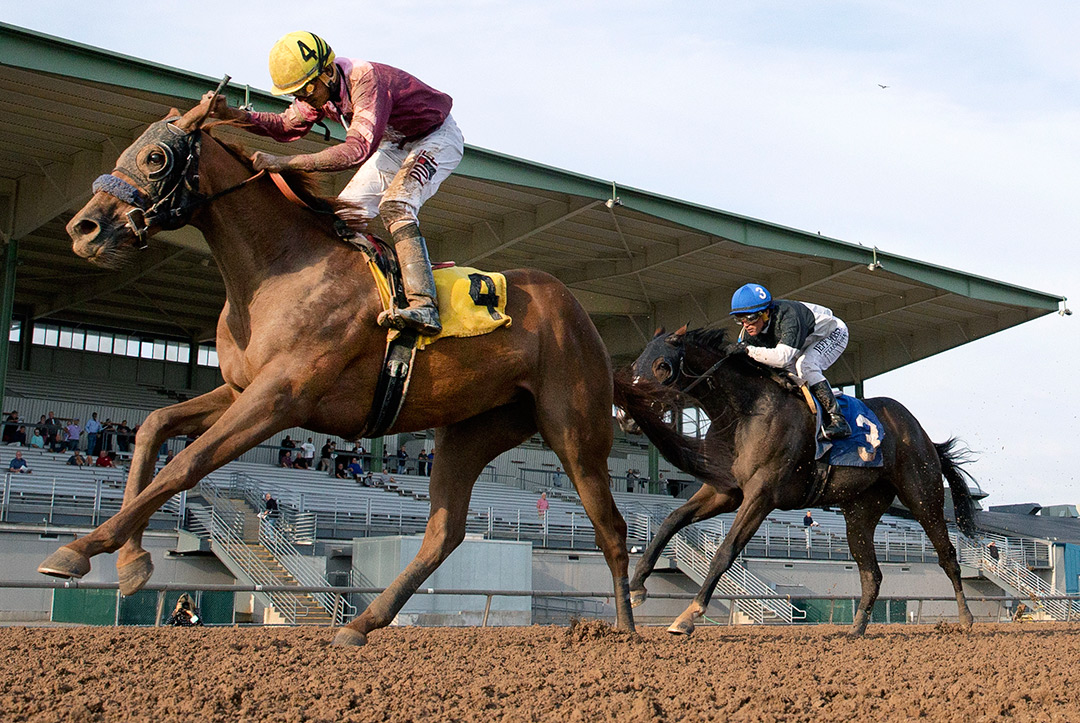 Curly Girl wins the 2021 Finger Lady Stakes at Finger Lakes Racetrack