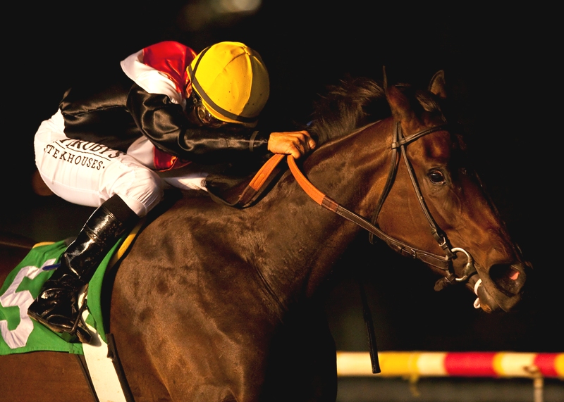 Customer Base, Lucie Manet Stakes