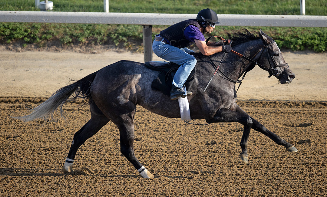 Customerexperience trains at Belmont Park in October 2021