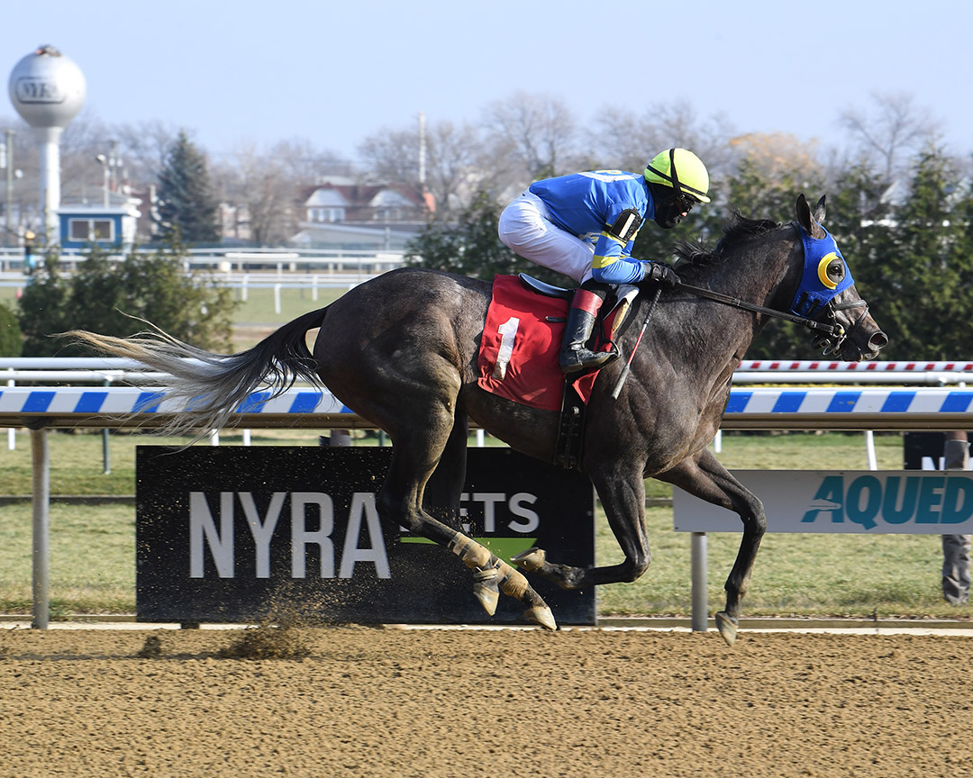 Customerexperience wins a Dec. 11 allowance at Aqueduct Racetrack