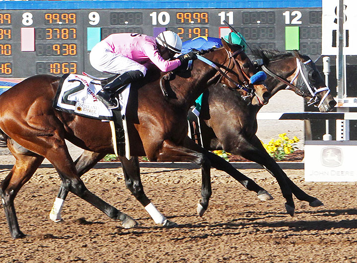 Anothertwistafate finishes second in the Sunland Derby