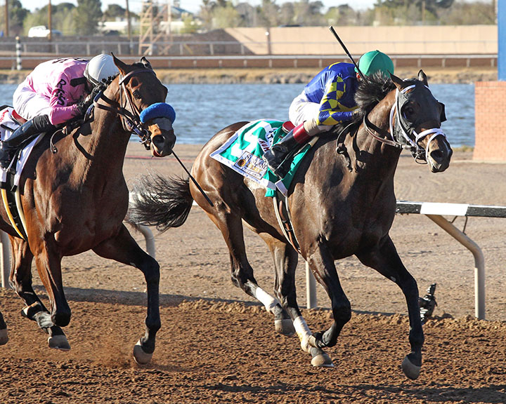 Cutting Humor wins the 2019 Sunland Derby