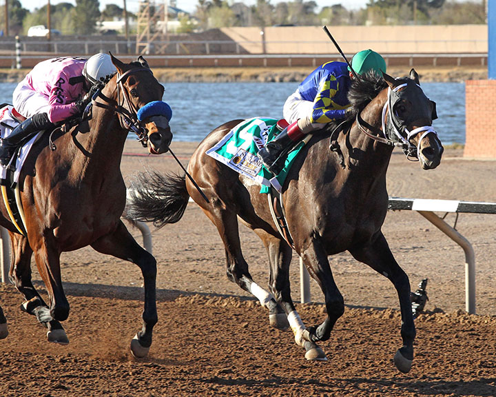 Cutting Humor wins the 2019 Sunland Derby