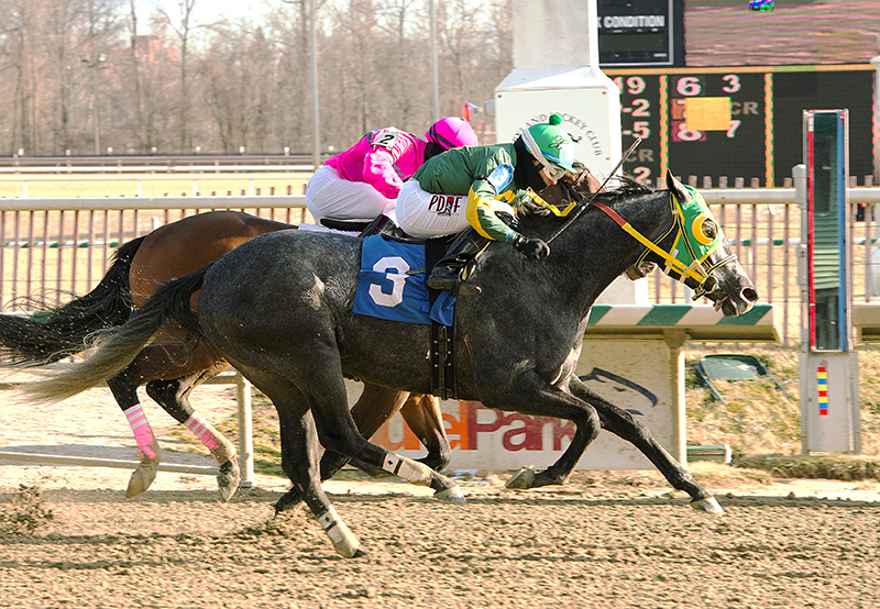Cutty Shark wins an allowance
