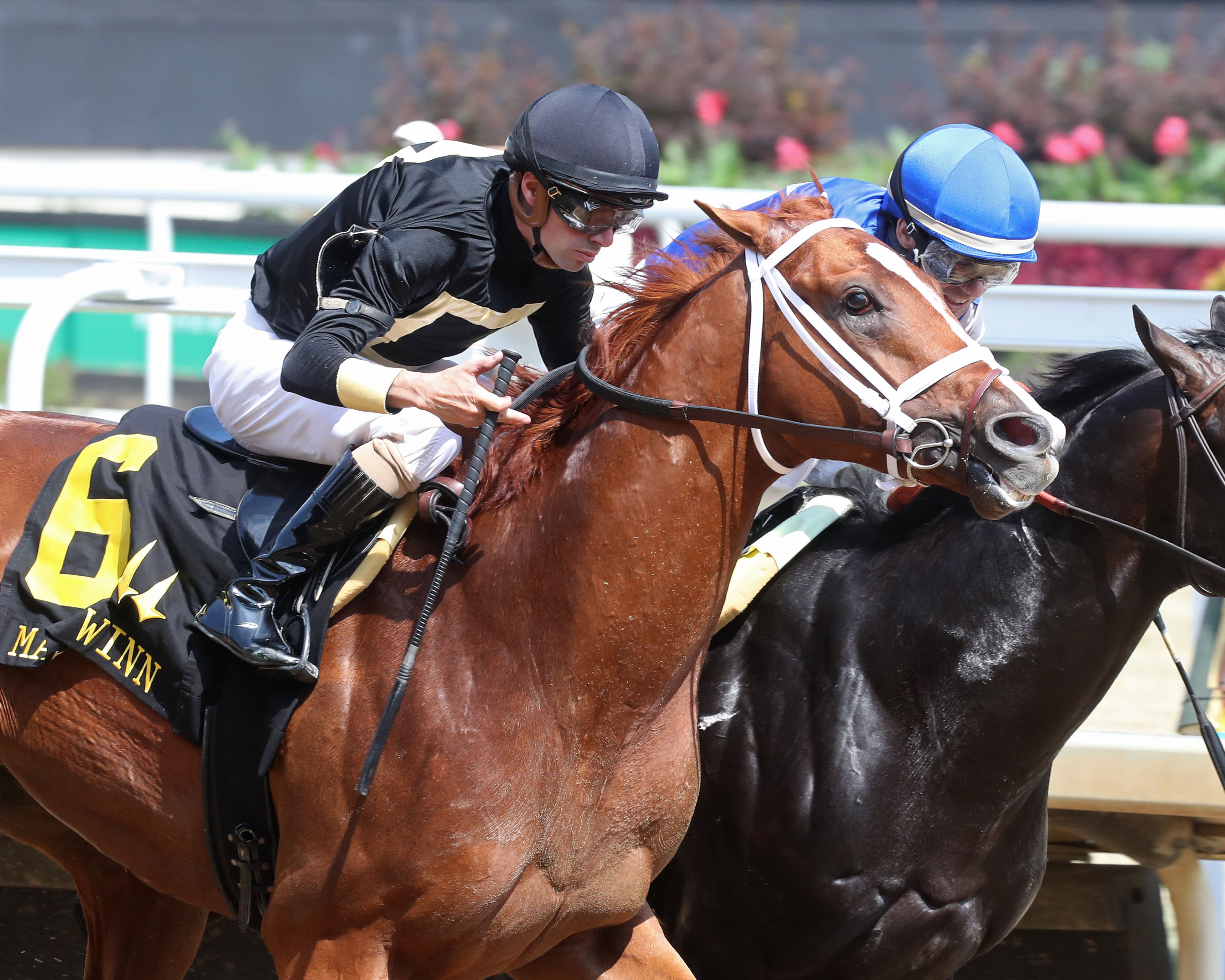 Cyberknife wins the Matt Winn Stakes by a nose on June 11 2022