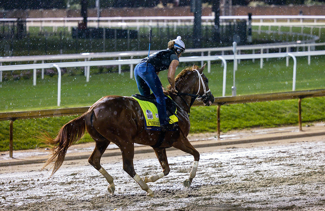 Cyberknife trains in the rain at Churchill Downs on May 3