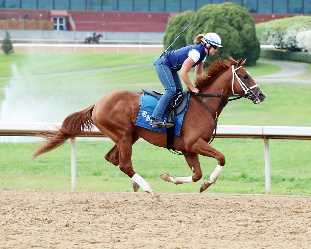Cyberknife trains at Oaklawn Park on March 30